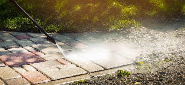 Professional Pressure Washing Services in Dania Beach, FL