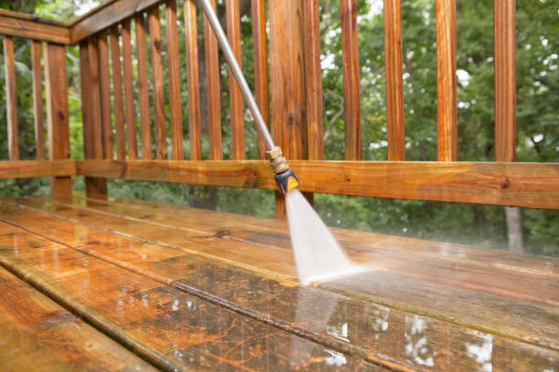 Best Dumpster Area Cleaning  in Dania Beach, FL