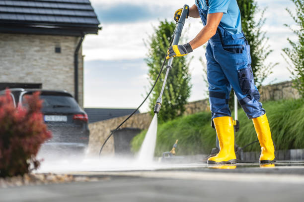 Best Driveway Pressure Washing  in Dania Beach, FL